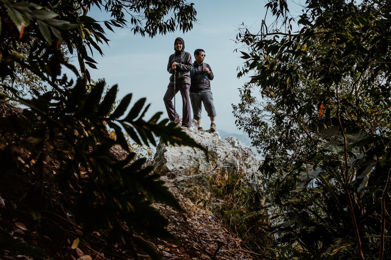 Free stock photo of adventure, hiking, nature